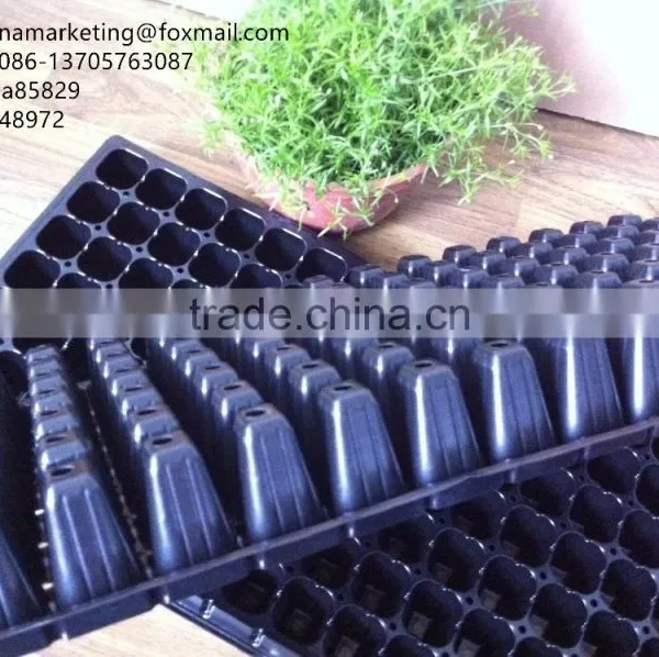 Black PS Material 105 Cells Blister Process Plastic Plant Nursery Seed Plug Trays for Propagation photo-3