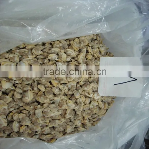 Frozen Boiled Short-necked Clam Meat photo-2