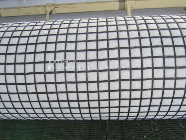 HDPE Uniaxial Geogrid