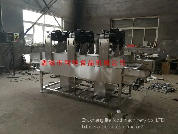 Raisin Washing Line Raisin Cleaner Raisin Processing Equipment photo-4