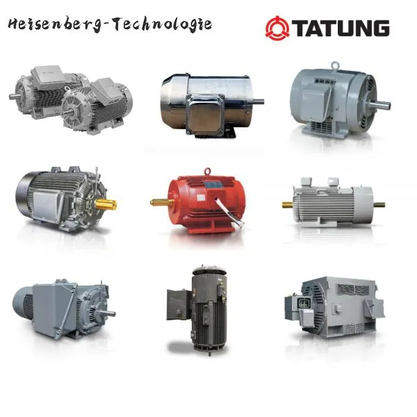Tatung Motor Heavy Electric Motor Supermax-841 TPU-CM photo-5