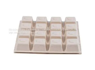 Eco Friendly Disposable & Biodegradable Square/Rectangular Container
