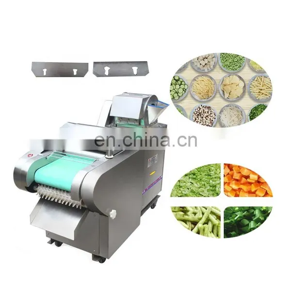 Stainless Steel Fruit Vegetable Cutting Cutter Machine Mushroom Cucumber Lemongrass Slicer Cutter Shredding Machine photo-3