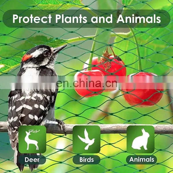0.6inch Mesh 8*20ft Anti-bird Net for Garden Net Agricultural Greenhouses photo-3