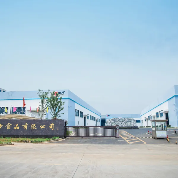 Anhui Lefang Foods Co.,Ltd company overview - view 2