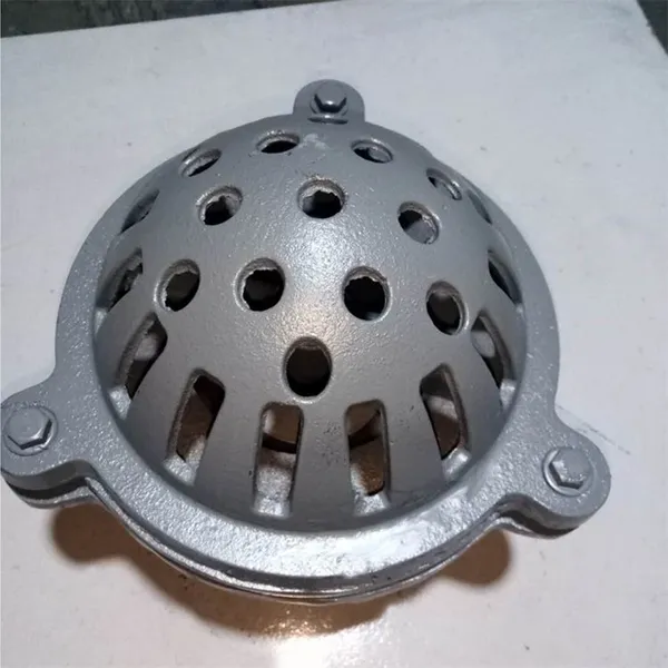 Industrial Grade Threaded Foot Valve, Cast Iron Construction for Durability in Harsh Environments photo-3