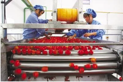 Shanghai Genyond Automatic Red Pepper Paste Making Plant Tomato Ketchup Processing Machine Chili Sauce Production Line photo-6