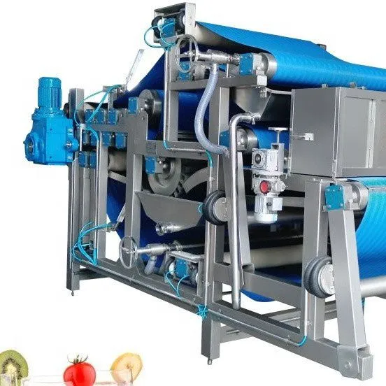 High Benefit Professional Apple Juicer Machine/Industrial Apple Juicer Garlic Juice and Ginger Juice Machine