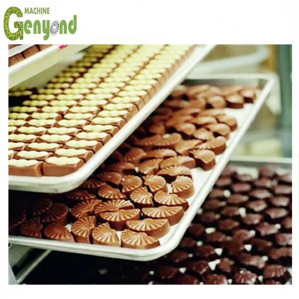 Factory Automatic Chocolate Conch Grinding Tempering Depositing Molding Forming Making Machine Chocolate Equipment Product Plant photo-6