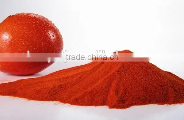 Spray Dried Tomato Powder photo-3