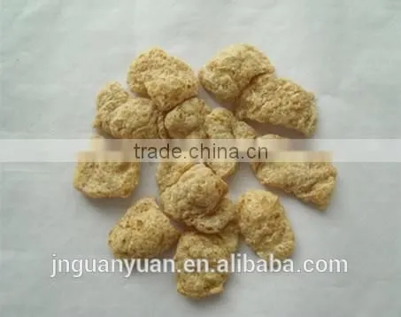 Soy Protein and Textured Soy Protein Production Line photo-4