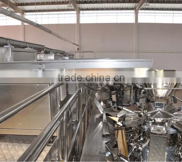 Fast Back Horizontal Motion Conveyor Design for Potato Chips Conveying photo-6