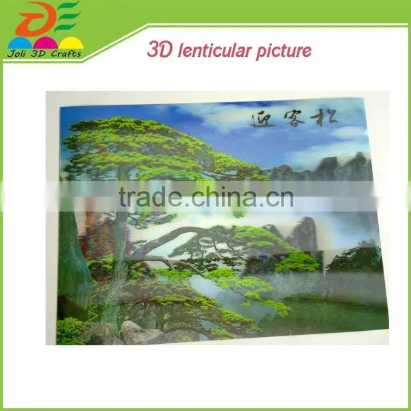 Custom Design Images Changing 3D Lenticular Flip Pictures photo-2