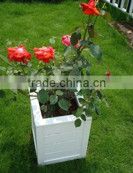 Planter Box photo-4