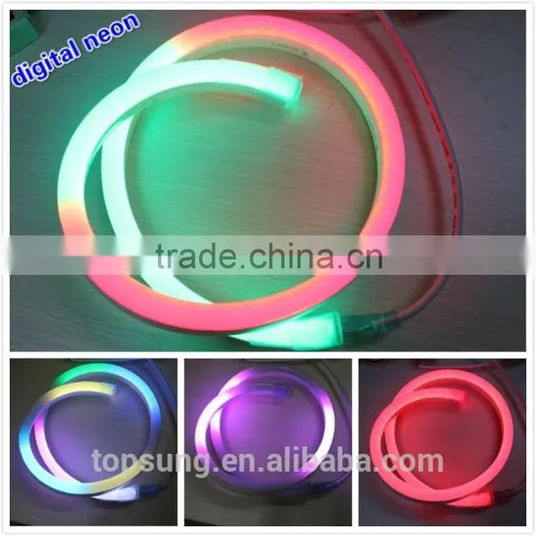 Garden Decoration 14*26mm Digital Fled Led Neon Light for Building photo-5