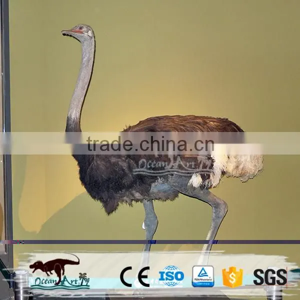 Life Size Animatronic Bird photo-3