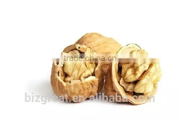 Paper Skin Walnut in Shell With Best Quality photo-2