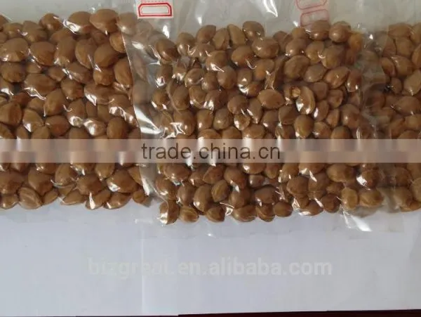 Supply With Chinese Bulk Spicy Flavored Roasted Apricot Kernels in Shell photo-4