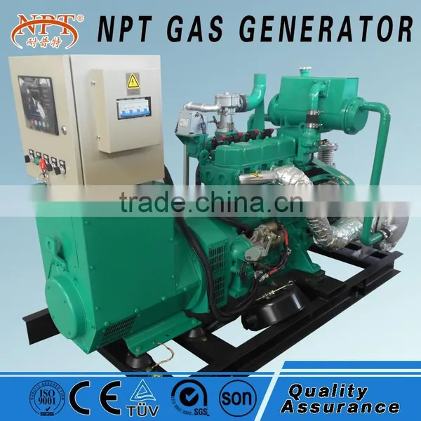 AC Three Phase Output Type Biomass Gas Electric Generator photo-6
