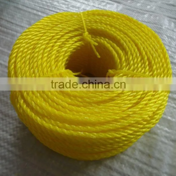 PE Twisted Twine Rope For Sale photo-5