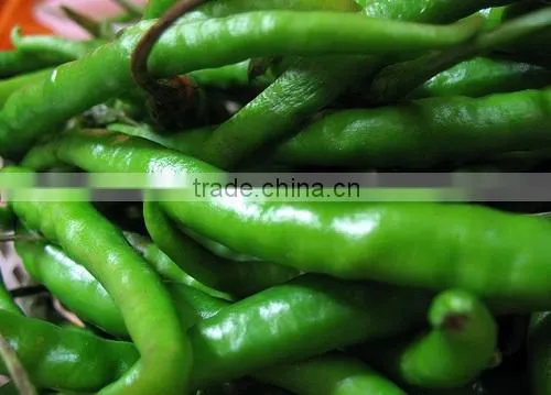 Green Chilli