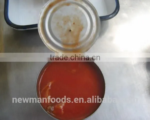 Small Tin 155g Canned Sardines in Tomato Sauce photo-2