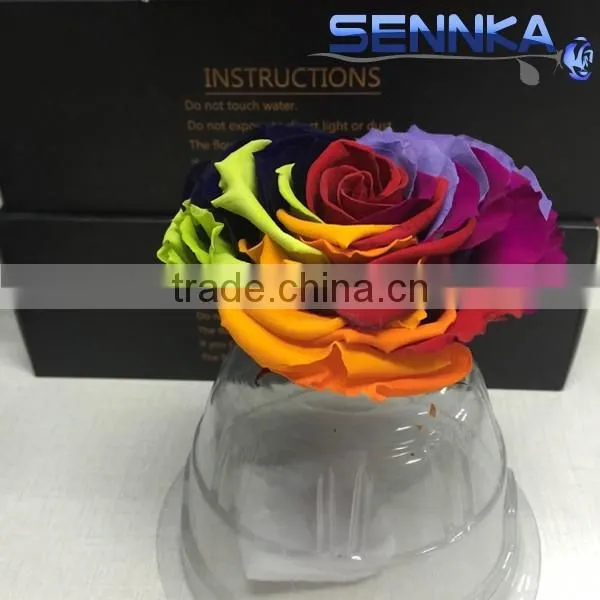 Heartshaped Long Life Rose Preserved Flowers for Arrangement photo-2