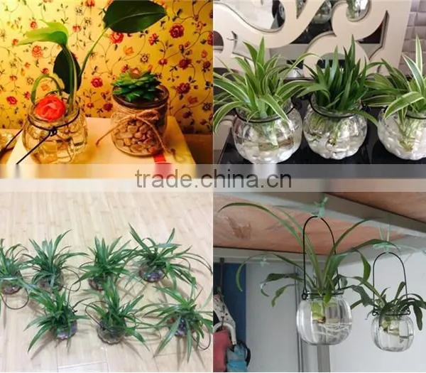 Hang Transparent Glass Vase/Other Copper Grass Plants Hang Bottle Hydroponic Flower Pot photo-4