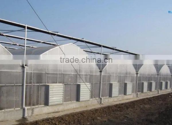 BLD Large Multi-span Plastic Film Greenhouse Commercial Use photo-5