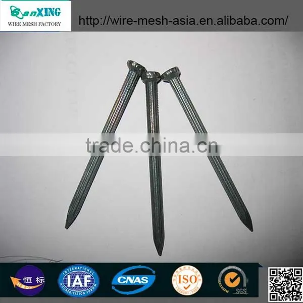 Polished Galvanised Round Common Nail photo-2