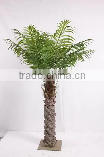 SJ2001205 Home Indoor Using Cocount Plam Tree Factory Outlet photo-2