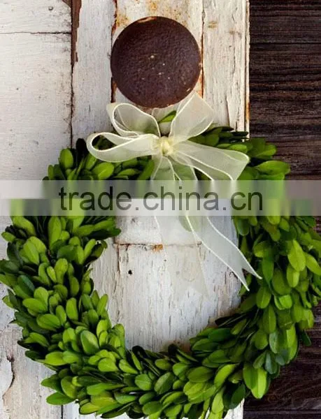 8'' Preserved Boxwood Wreath Wholesale photo-5