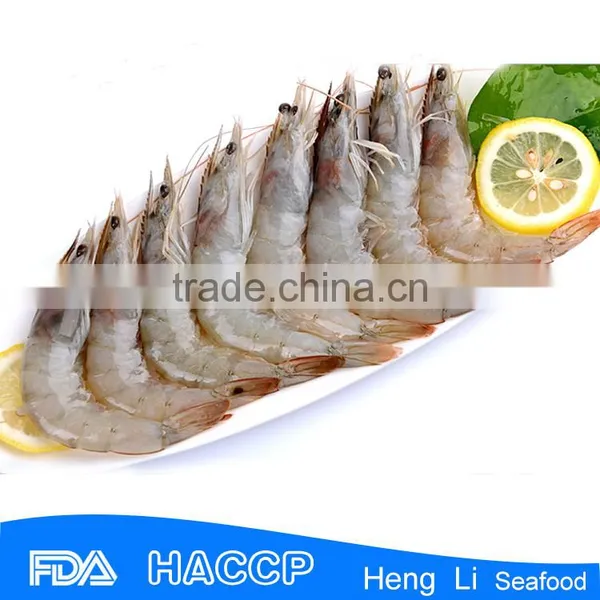 HL002 Shrimp on Sale FDA Certification photo-2