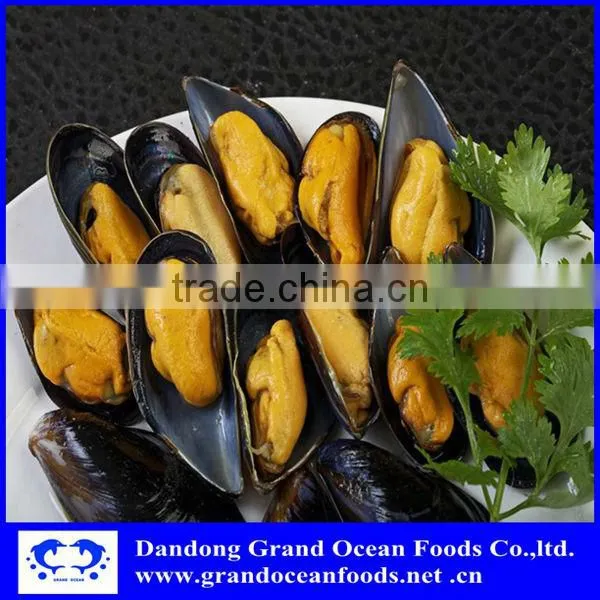 Fresh Frozen Cooked Mussel Meat Seafood photo-3