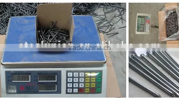 2017 Hot Sell Common Round Wire Nails photo-6