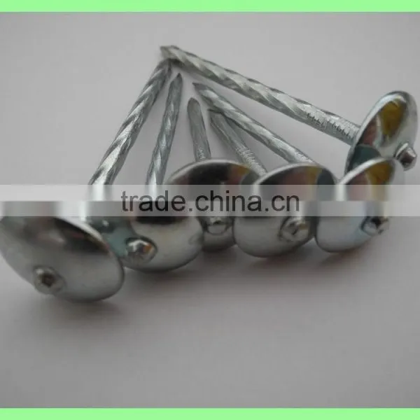 Kenya Umbrella Roofing Nails photo-4