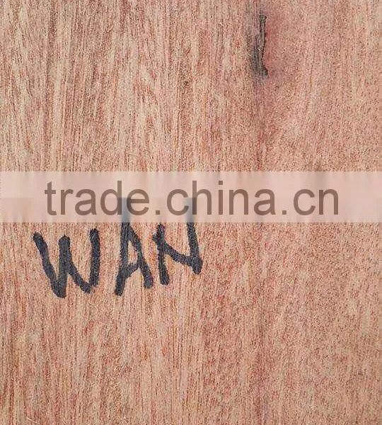 Suriname WAN / Wana Log photo-2
