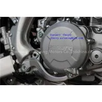 Asiawing Motors 450CC Motard With EEC photo-2