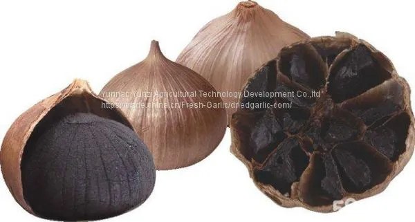 Black Garlic photo-2