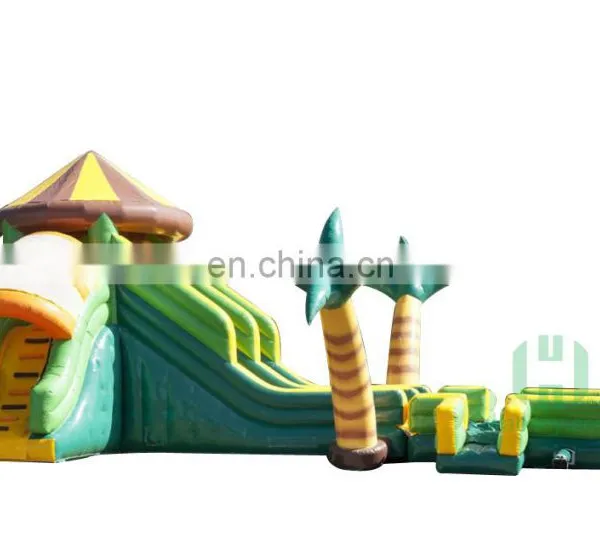 HI Popular Inflatable Water Slide , Giant Inflatable Water Slide for Adult photo-5