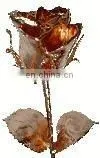 Natural Rose Bud