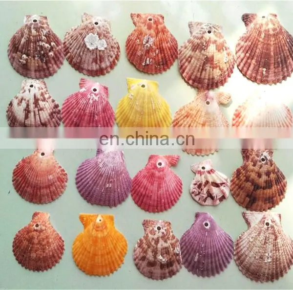 DIY Natural Seashell Color Style Charm Shell Accessories for Jewelry Finding photo-3