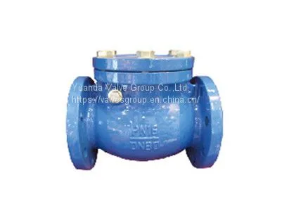 DIN Swing Check Valve