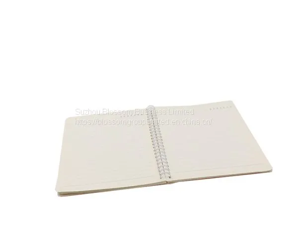 Wholesale Cheap Spiral School Notebook photo-3
