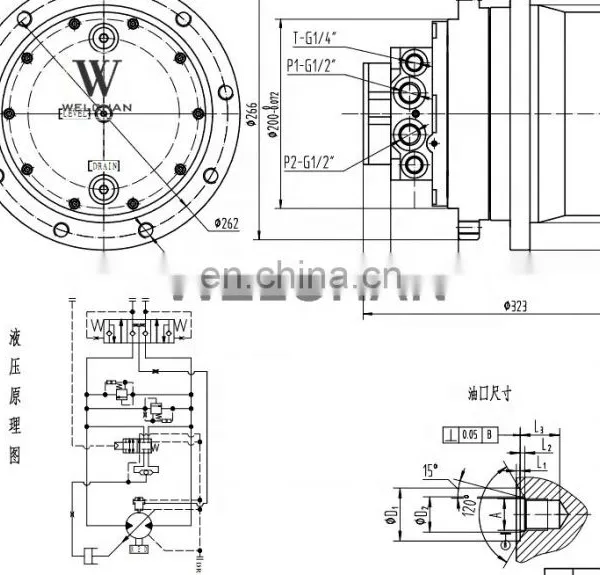 Excavator E305 E306 PC45 PC55 SK55 SK50 SK40 Final Drive Motor TM06 GM06 Travel Motor Final Drive photo-3
