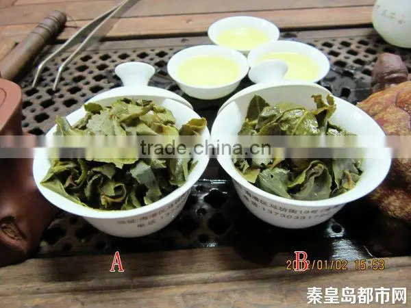 Jin Xuan Milk Fragrant Oolong Tea,Taiwan High Mountains Tea photo-3