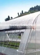 Agricultural Insect Proof Net Screen photo-4