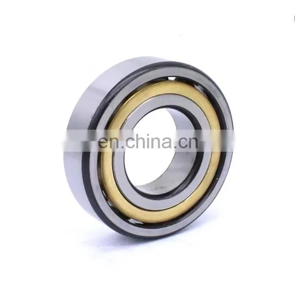 7303 7304 7305 7306 7307 7308 7309 7310 Acm Btn1 B/Dt B/Df AC/Dt/Ctynsulp4 Angular Contact Ball Bearing photo-5