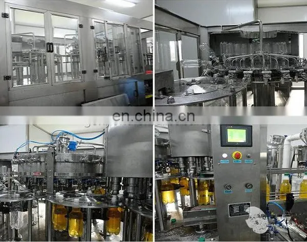 Small Capacity Hawthorn Juice/fresh Fruit Juice Production Line /plant /processing Line /equipment photo-5