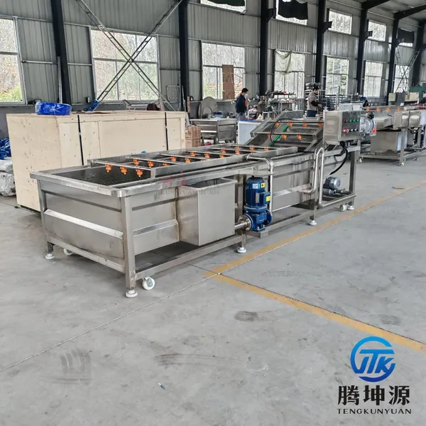 Fruit & Vegetable Bubble Washing Machine Seafood Fruit Vegetable Cleaning Equipment Vegetable Processing Line photo-3